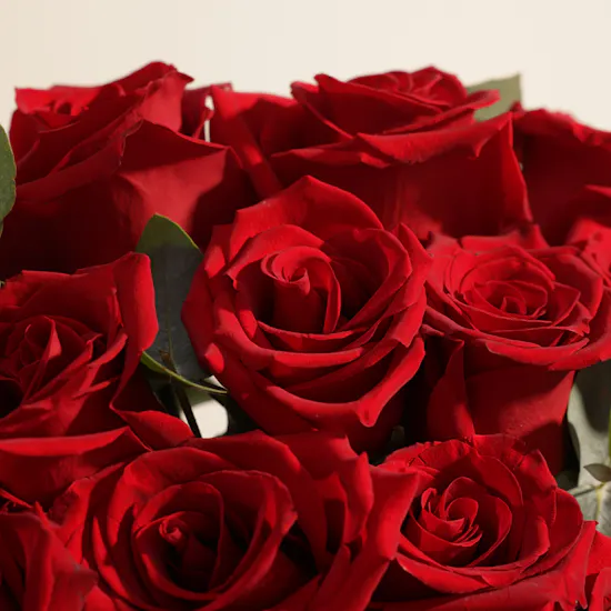 Laviviane Red Flower Cake | The Language of Love Roses Vase