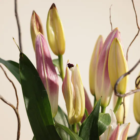 Cheerful Garden Flower Vase