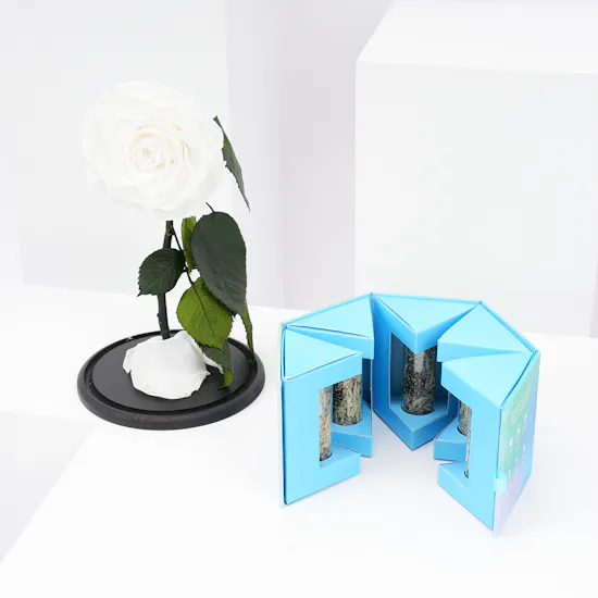 Preserved White Rose with Feel Good Tea