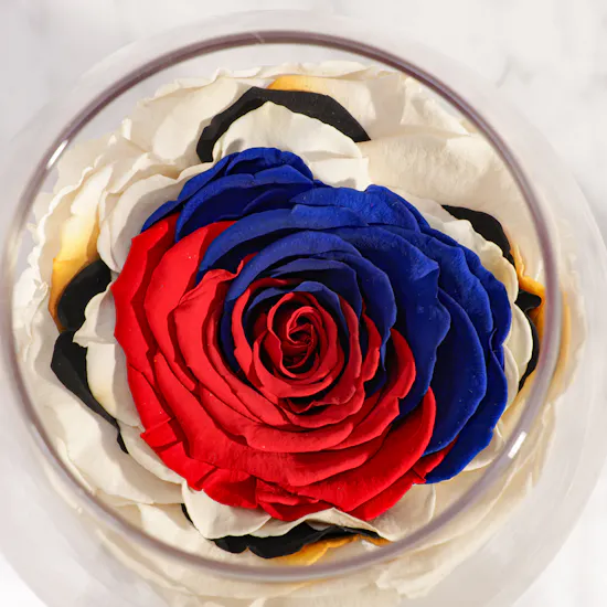 Radiant Preserved Rose Vase