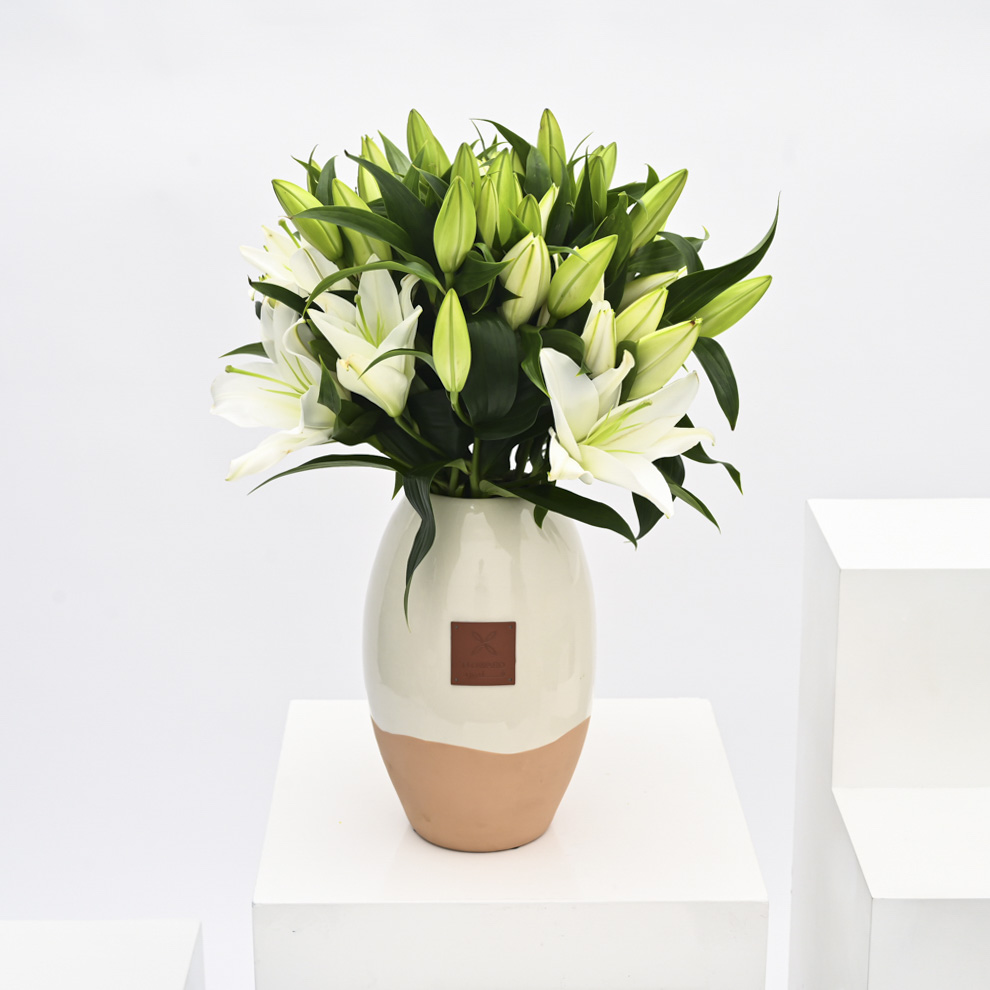 ليليوم | مزهرية خزفية