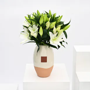 Lilies in Ceramic Vase Lilies in Ceramic Vase