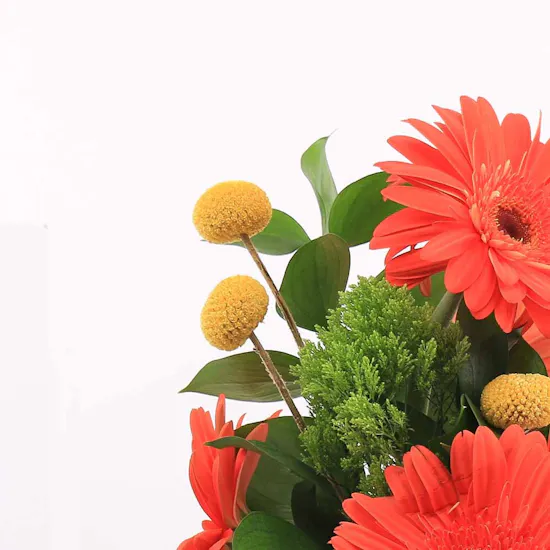 Orange Gerbera | 10 Flowers