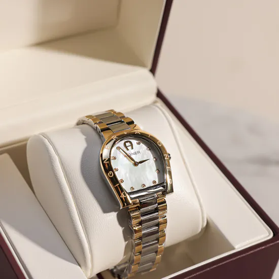 Aigner Ravenna Due Women’s Watch