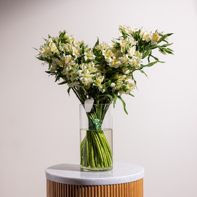 Delicate White Alstroemeria Vase