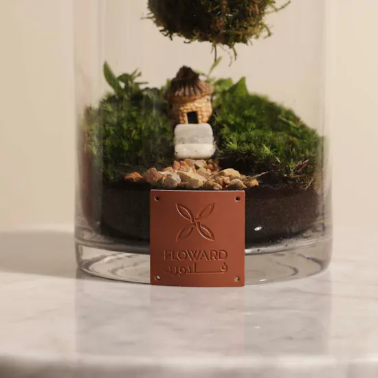 Elegant Terrarium Vase
