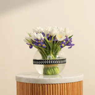 Blooming Blues | 60 Flowers 
