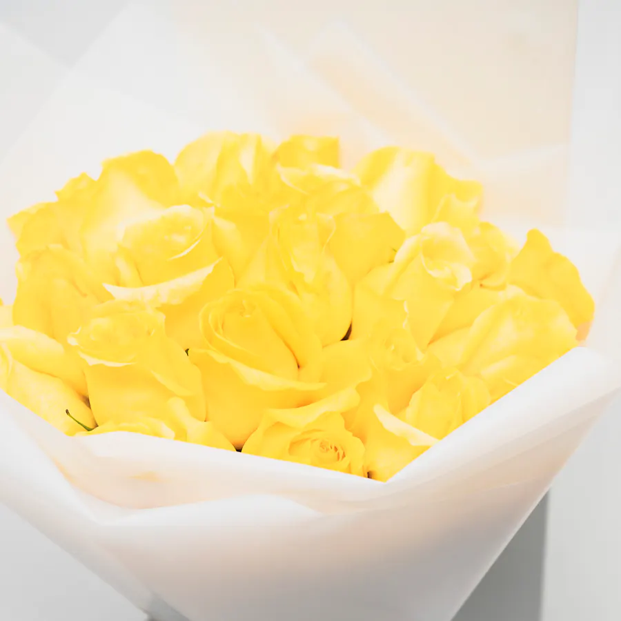 Feel Good Tea Black Discovery Box | 25 Yellow Roses Bouquet 3