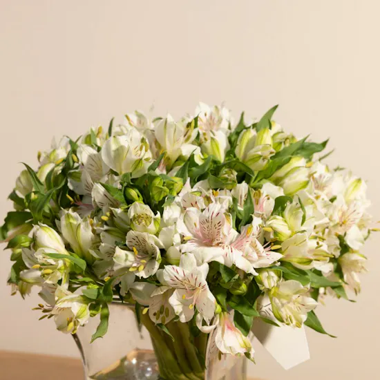 Cherished Alstroemeria Vase