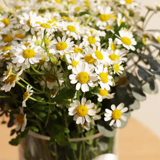 Anoosh Rocky Bites Chocolate Box | Delightful Moments Flower Vase