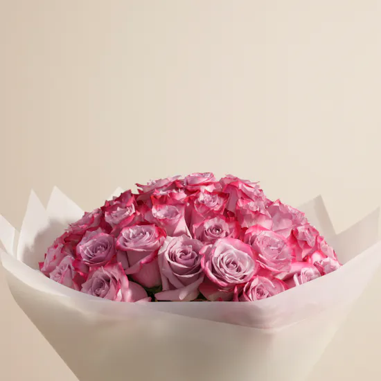 Aromatic Purple Roses Bouquet | 50 Roses