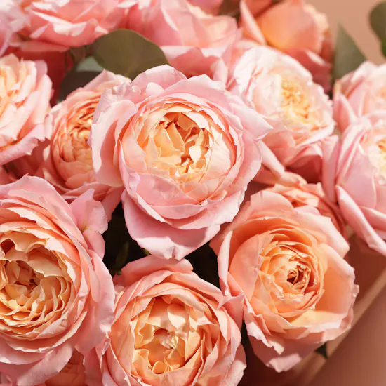 Rustic Baby Rose Julietta Bouquet