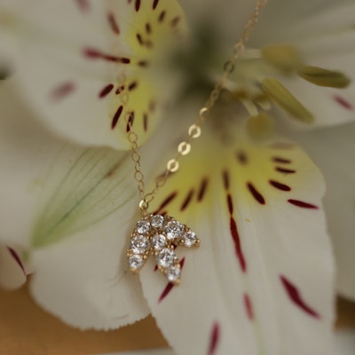 Amal Al Majed Leaves Necklace | Flowers
