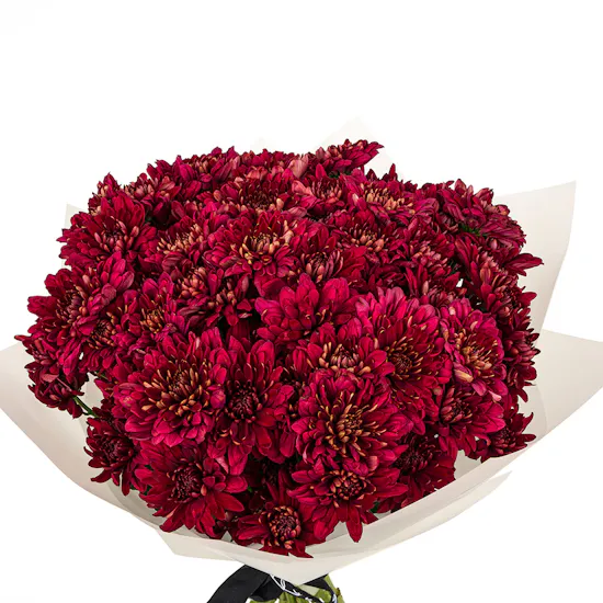 Dee mama Mama Tote Bag | Red Chrysanthemum