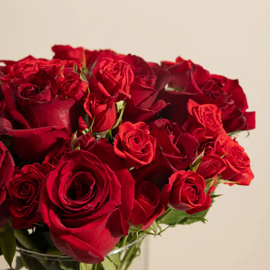 Opulent Red Roses Vase