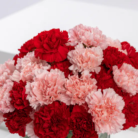 Blushing Ruby | Carnations Vase