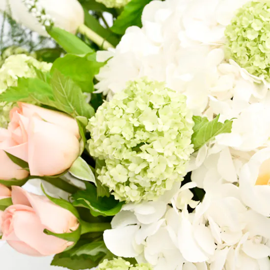 Blooming Flowers | Glass Vase