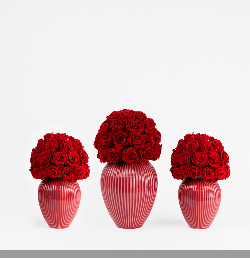 Preserved Roses Trio