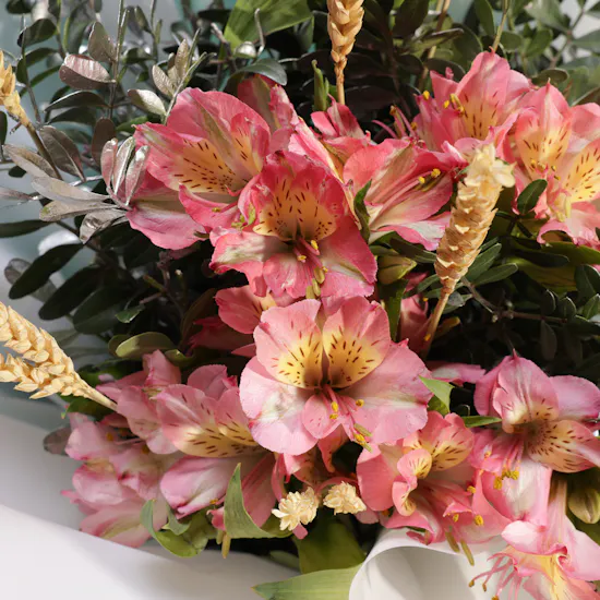 Royal Pink Alstroemeria Bouquet