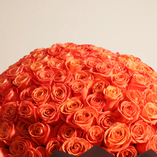 Orange Roses Bouquet | 250 Flowers