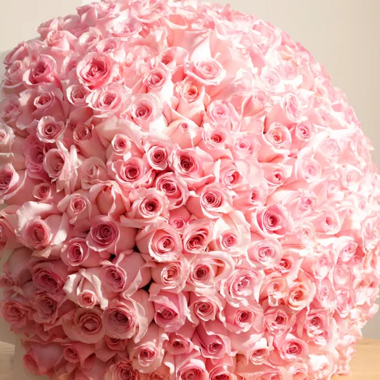 Pink Rose Bouquet | 250 Flowers