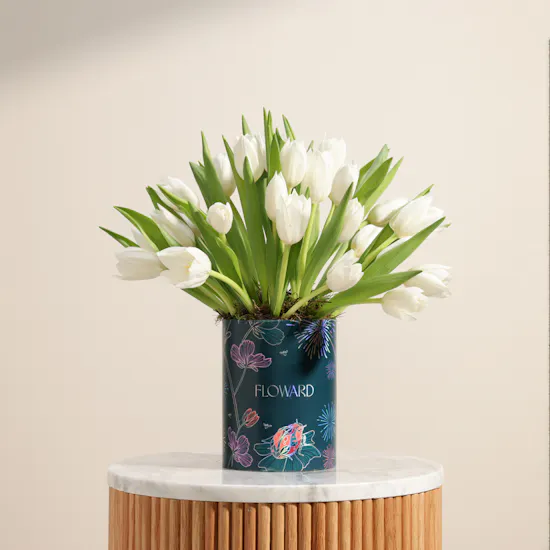 Festive White Tulip Box | 30 Flowers