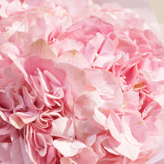 Pink Crush Flowers Bouquet