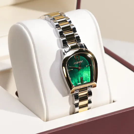 Aigner luxury Alessandria Ladies Watch