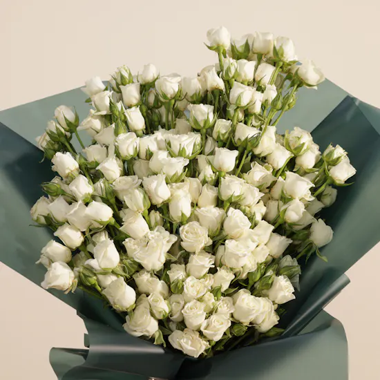 Gentle Soft White Baby Rose Bouquet | 50 Flowers