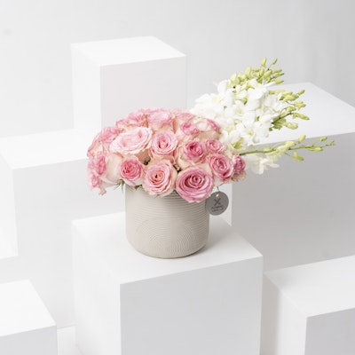 Rose elegance By Sausan