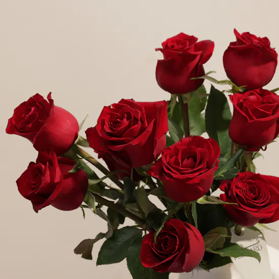 Pure Romance Roses Vase