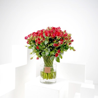 Baby Roses | Cylinder Vase 