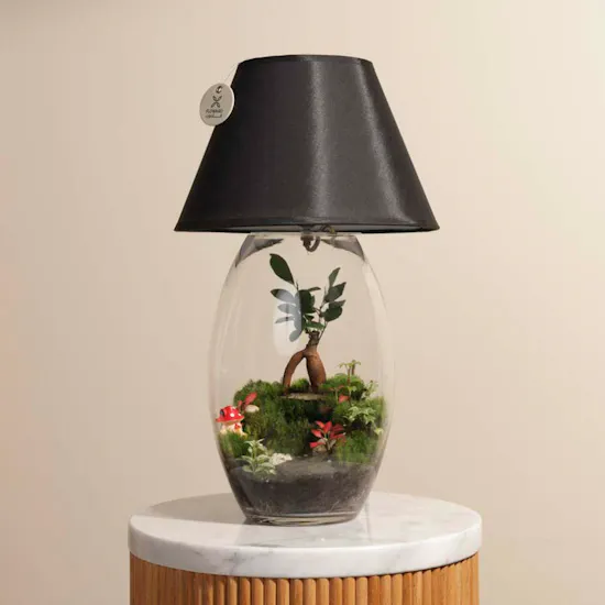 Nano Garden Closed Lamp Terrarium