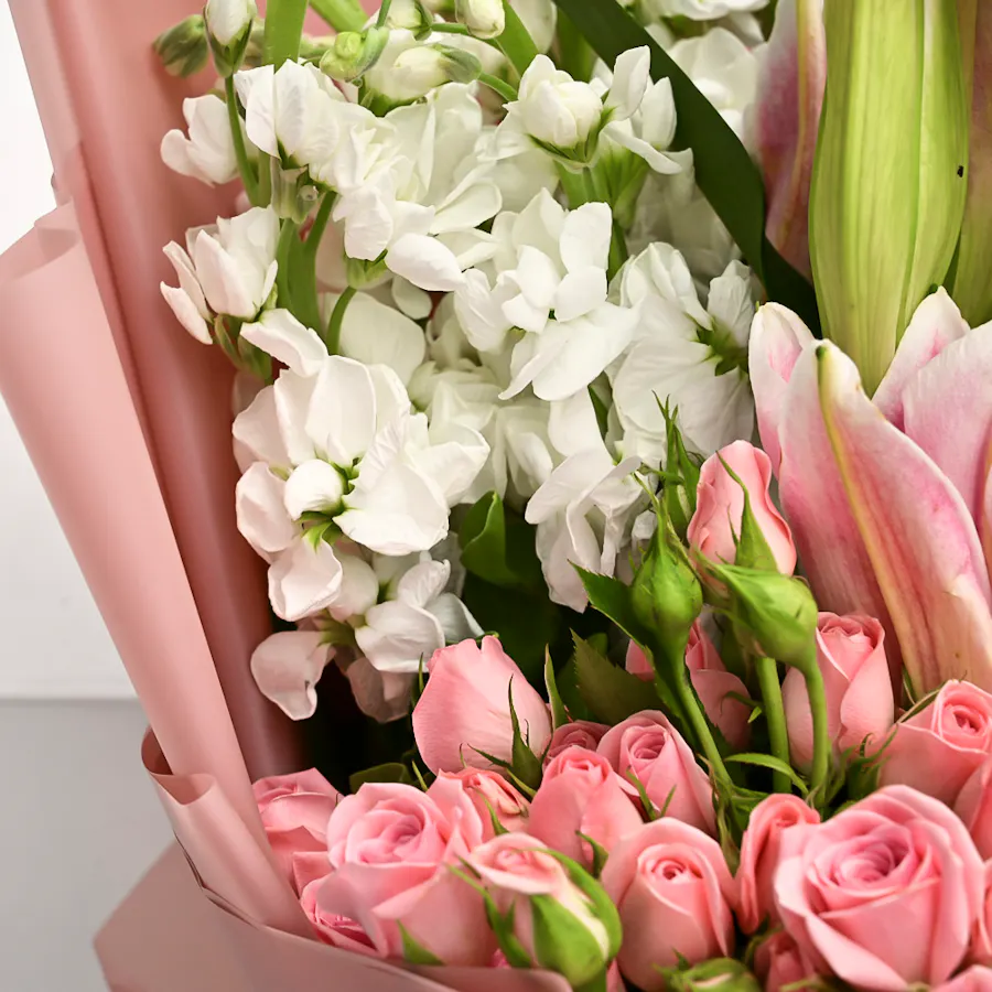 Graceful Bliss | Pink Wrap 2