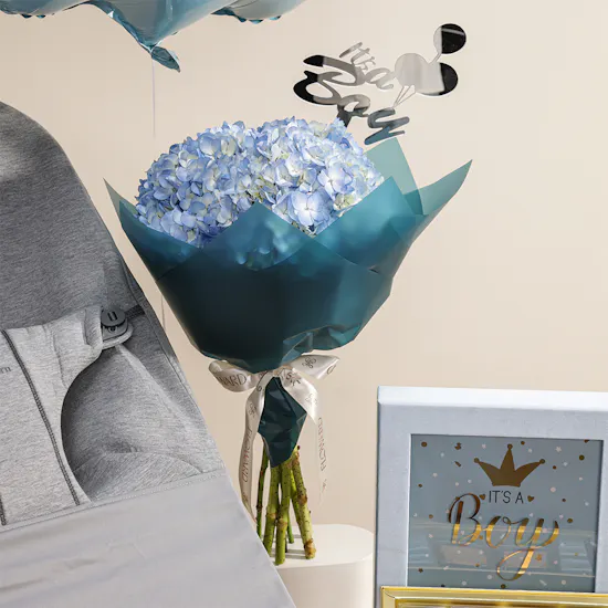 A Little Wonder Baby Boy Gift Set
