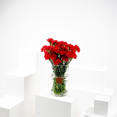 Medium Red Carnations Cylinder Vase