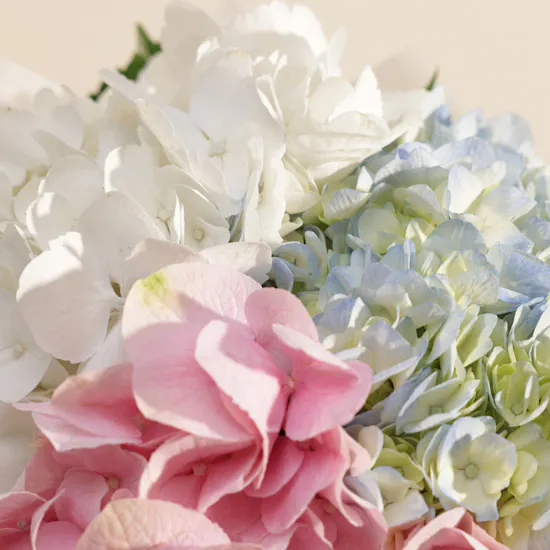 Sweet Atelier Gender Reveal Cake for Girls | Charm Flower Bouquet and Balloons