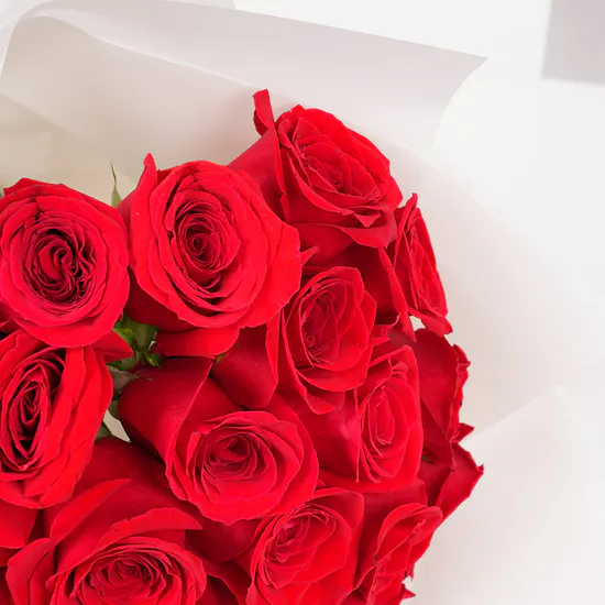 Hanoverian Crepe Dulce | Love Roses