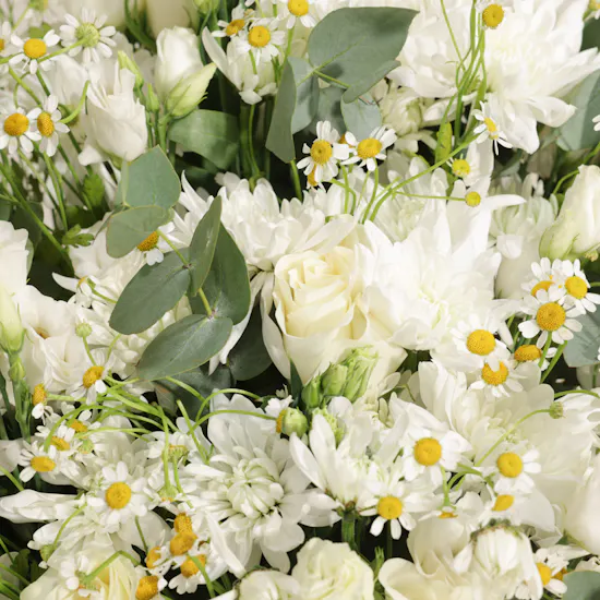 Bloom Essence Flower Box