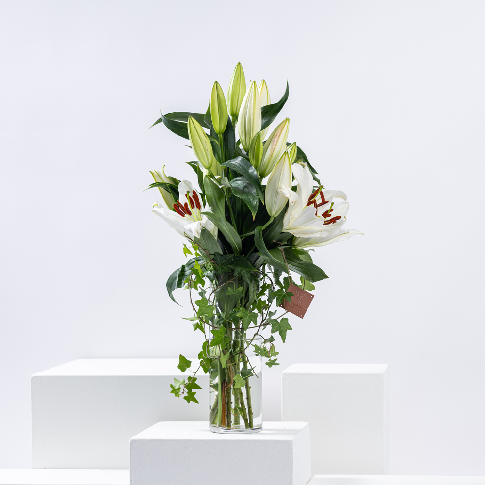 ثراء الليلي