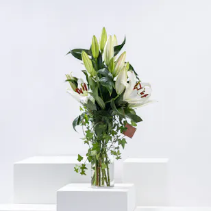 Luxe Lily