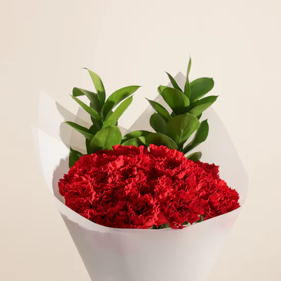 Love Carnations Bouquet | 25 Flowers