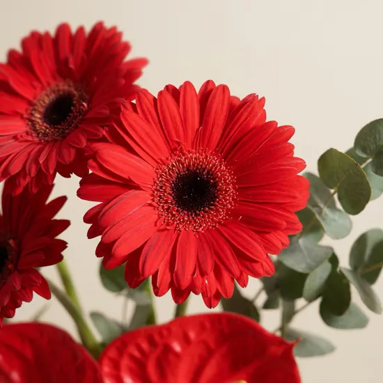 Regal Radiance Flowers Vase