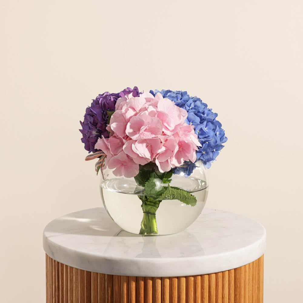 مزهريه زهور متألقه