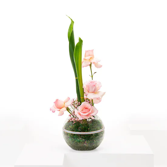 Rose light pink vase