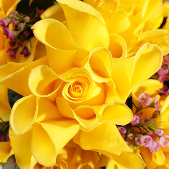 Bright Flowers Bouquet
