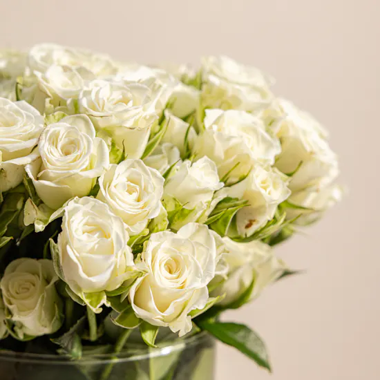 20 White Baby Roses Vase