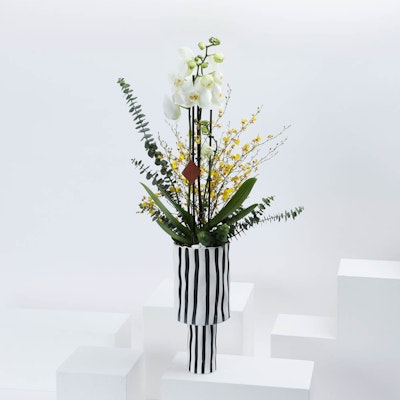 Haute Boutique Striped Vase