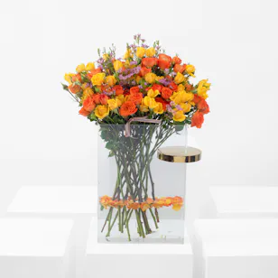 Yellow & Orange Petal Harmony 