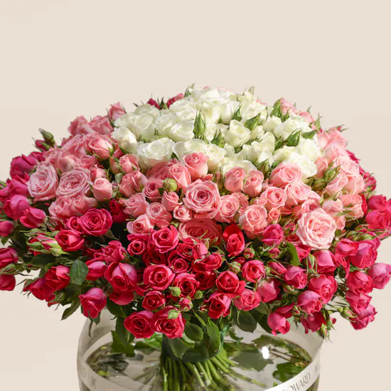Velvet Radiance Baby Roses Vase | 75 Flowers